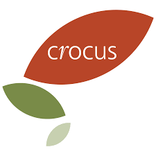 Crocus