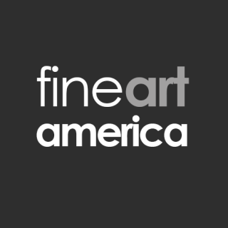 Fine Art American