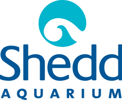 sheddaquarium.org