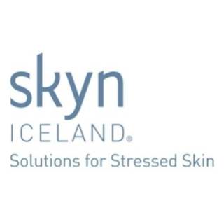 skyniceland.com